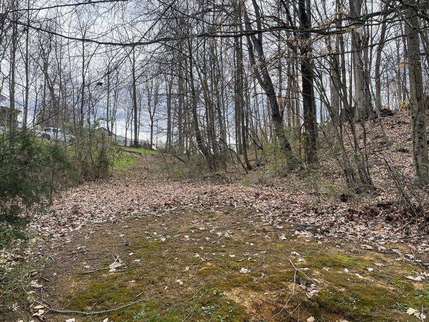 Photo #1: Tbd County Farm Road