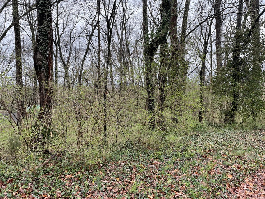 Photo #1: Lot 20 Hillside Road