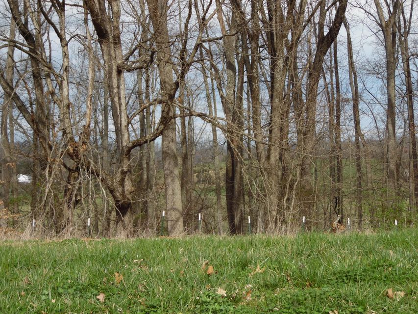 Photo #1: 477 English Ivy Trail