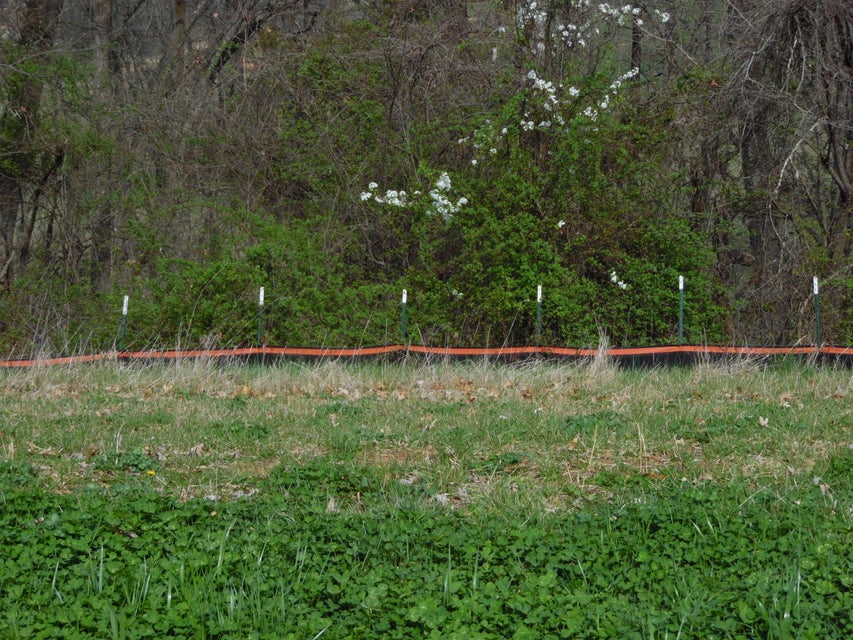 Photo #2: 491 English Ivy Trail