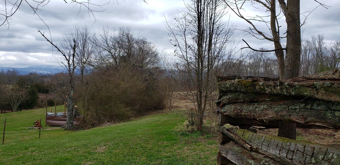 Photo #3: Tbd Jim Fox Road Road