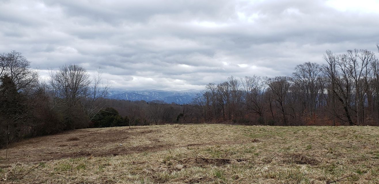 Photo #5: Tbd Jim Fox Road Road