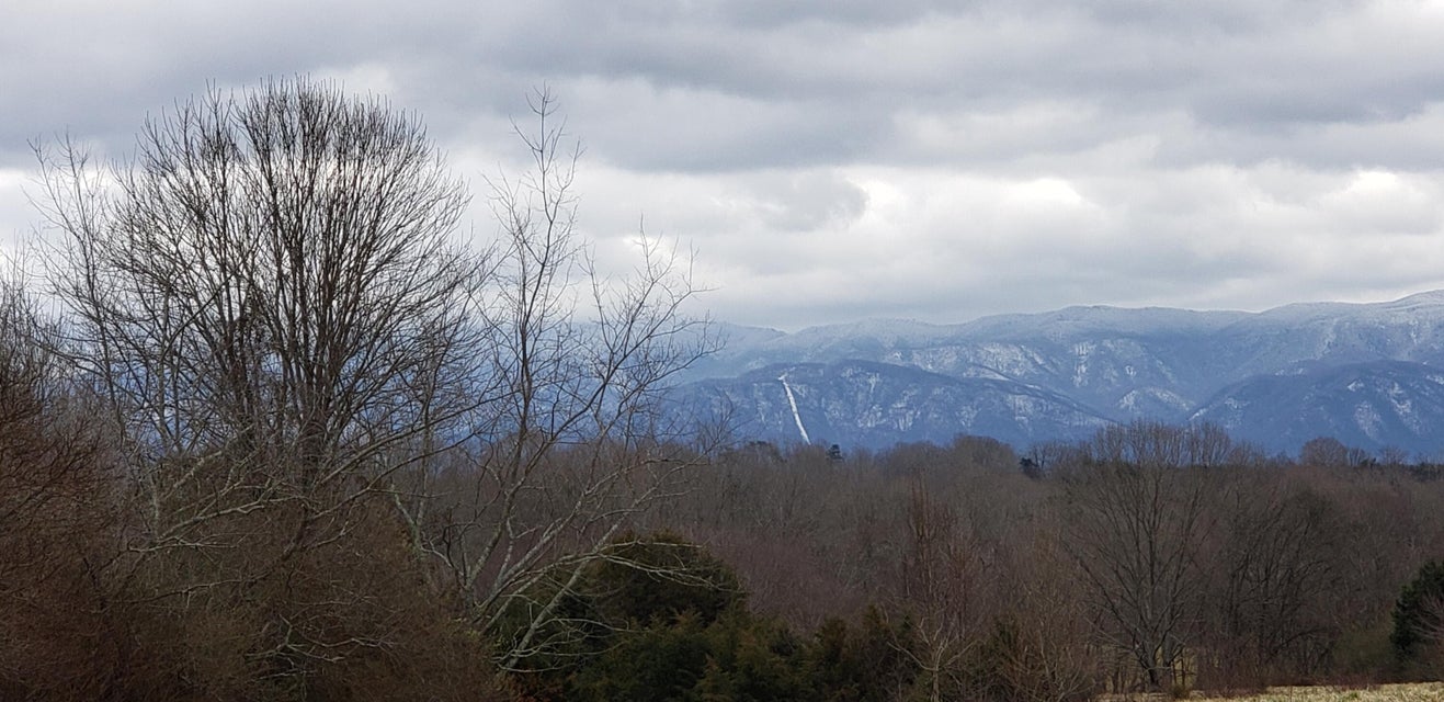 Photo #6: Tbd Jim Fox Road Road