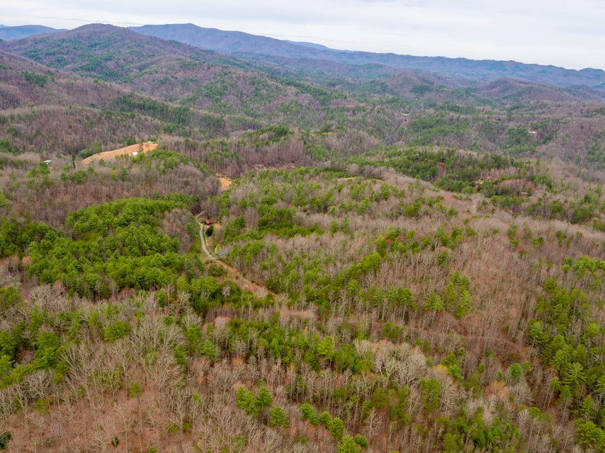 Photo #2: 410 Seay Hollow Road