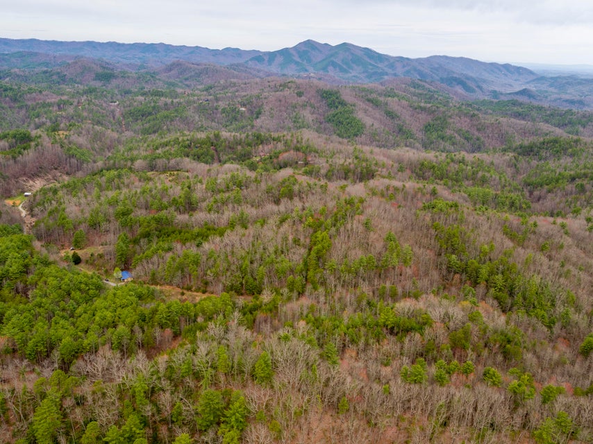 Photo #3: 410 Seay Hollow Road