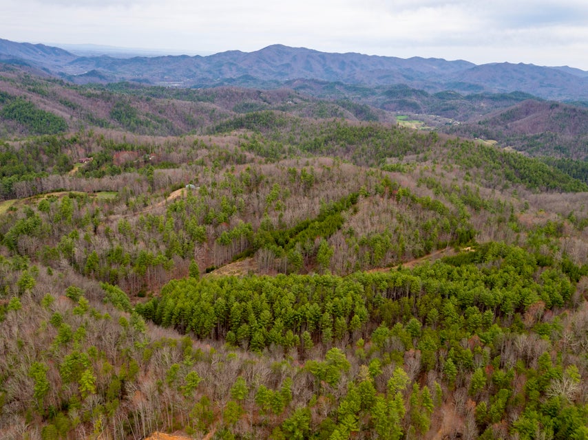 Photo #5: 410 Seay Hollow Road
