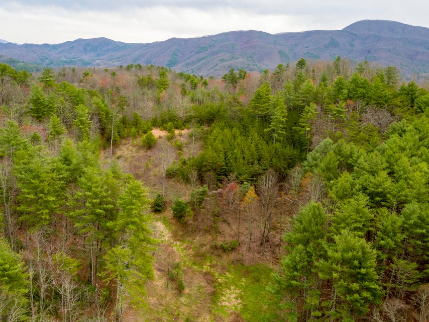 Photo #9: 410 Seay Hollow Road