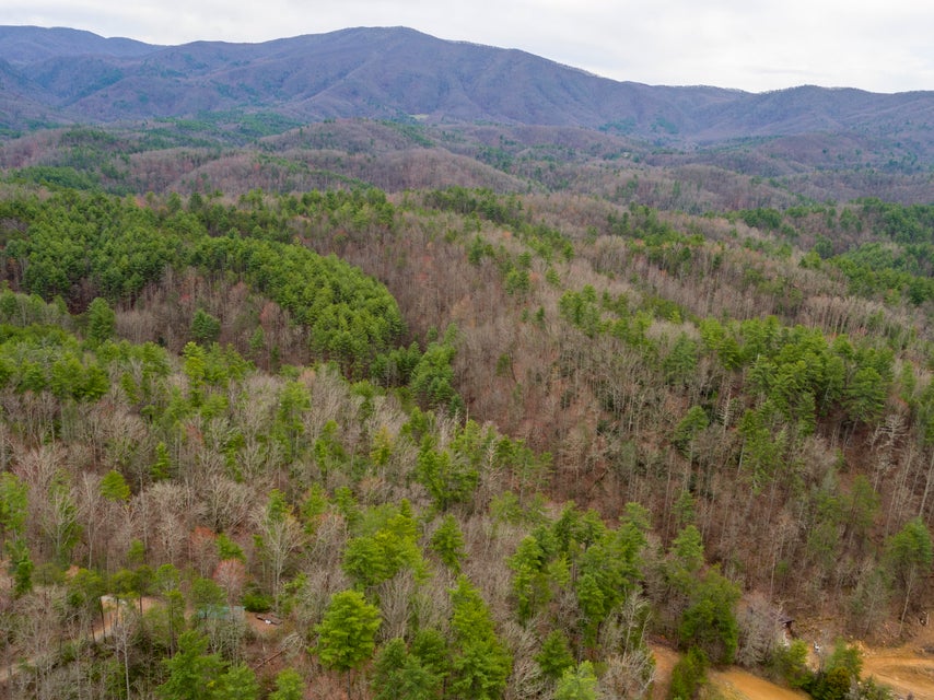Photo #12: 410 Seay Hollow Road