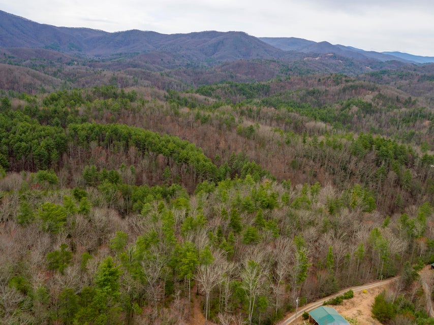Photo #13: 410 Seay Hollow Road