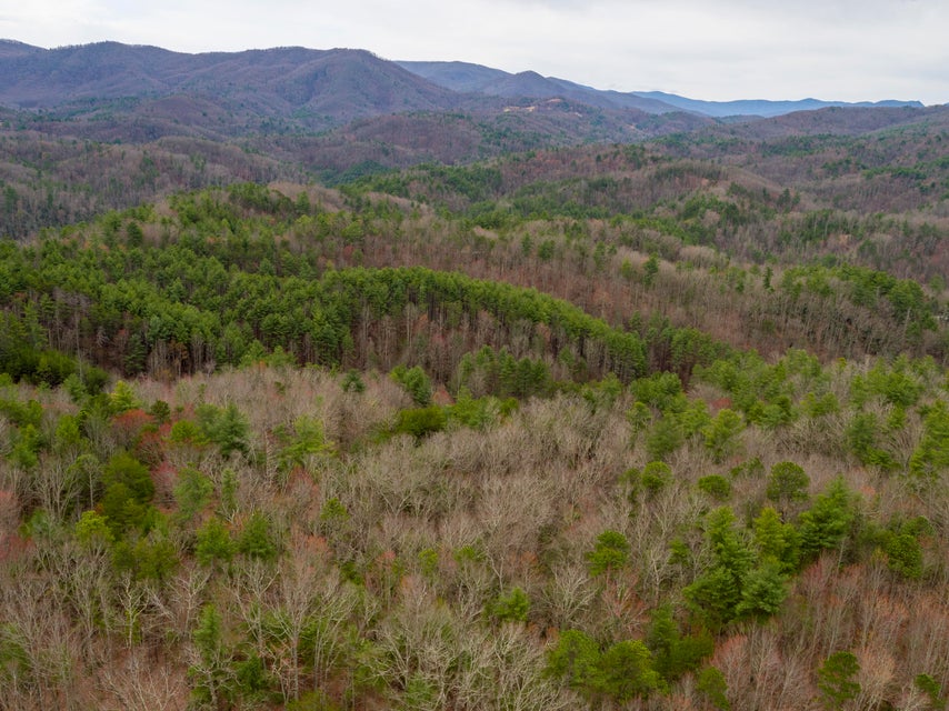 Photo #14: 410 Seay Hollow Road