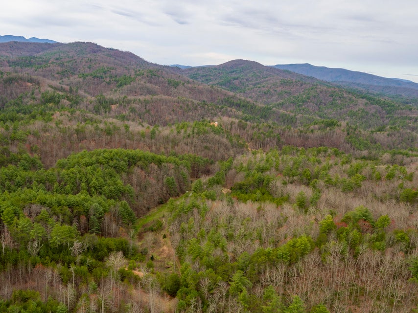 Photo #17: 410 Seay Hollow Road