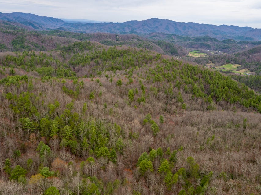 Photo #20: 410 Seay Hollow Road