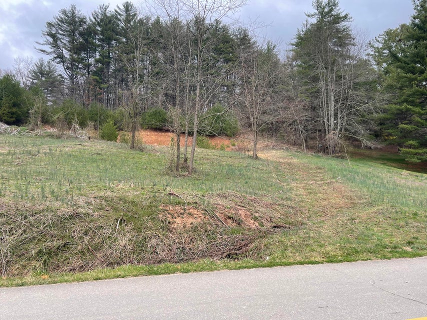 Photo #2: Tbd Crossroads Drive
