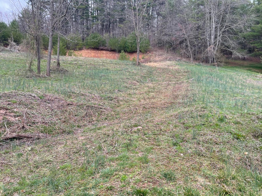 Photo #3: Tbd Crossroads Drive
