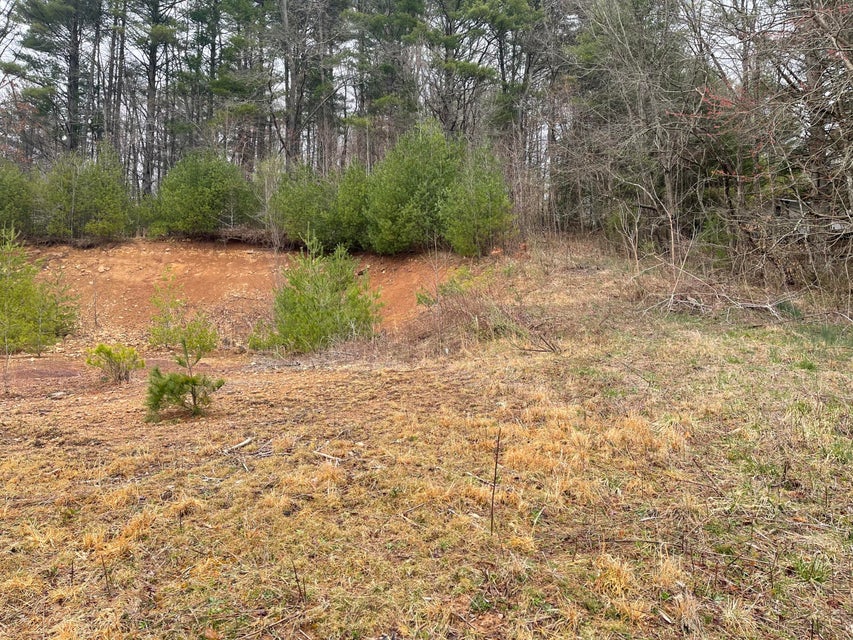 Photo #5: Tbd Crossroads Drive
