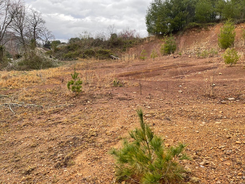 Photo #6: Tbd Crossroads Drive