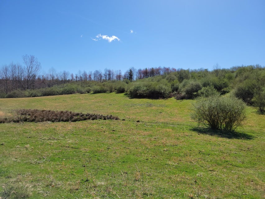Photo #12: Tbd Dotson Creek Rd