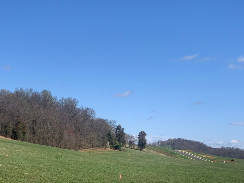 Photo #1: Tbd Boones Station Rd