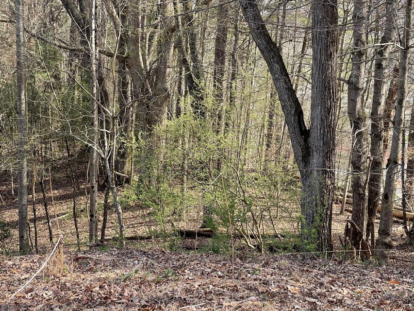 Photo #1: Tbd Charles St Lot 5