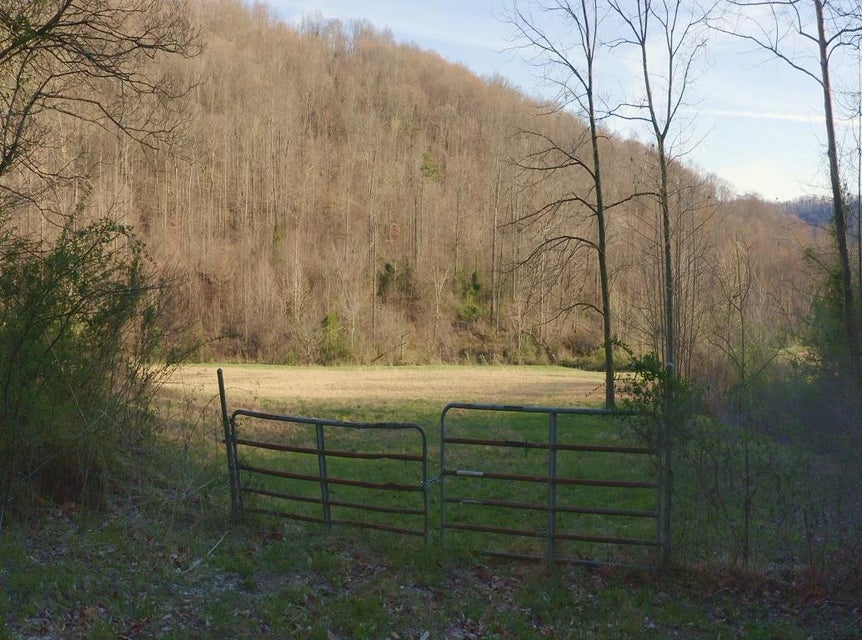 Photo #1: 216 Lower Capuchin Drive