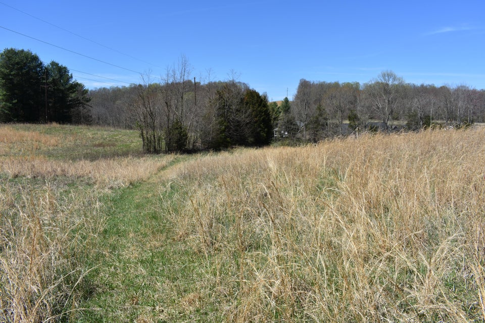 Photo #13: Tbd Tucker Lane