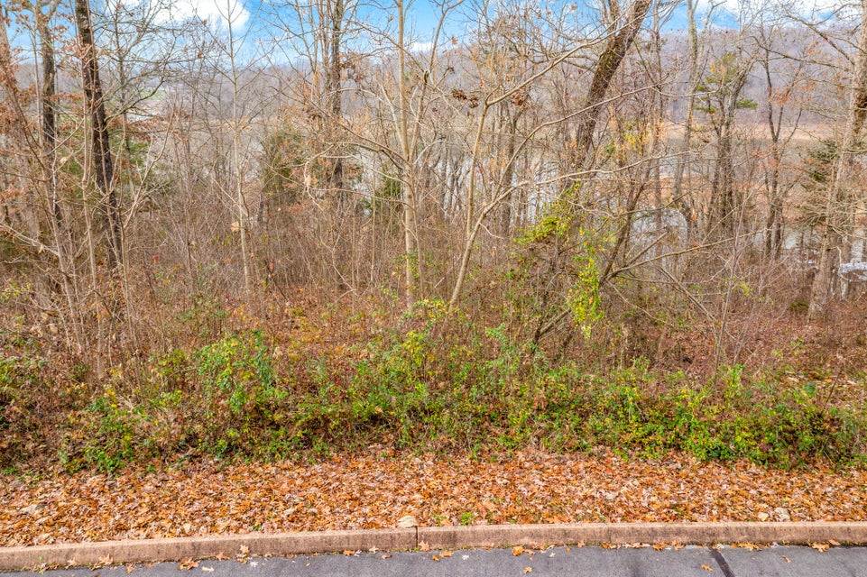 Photo #1: Lot 25 Aidans Trail
