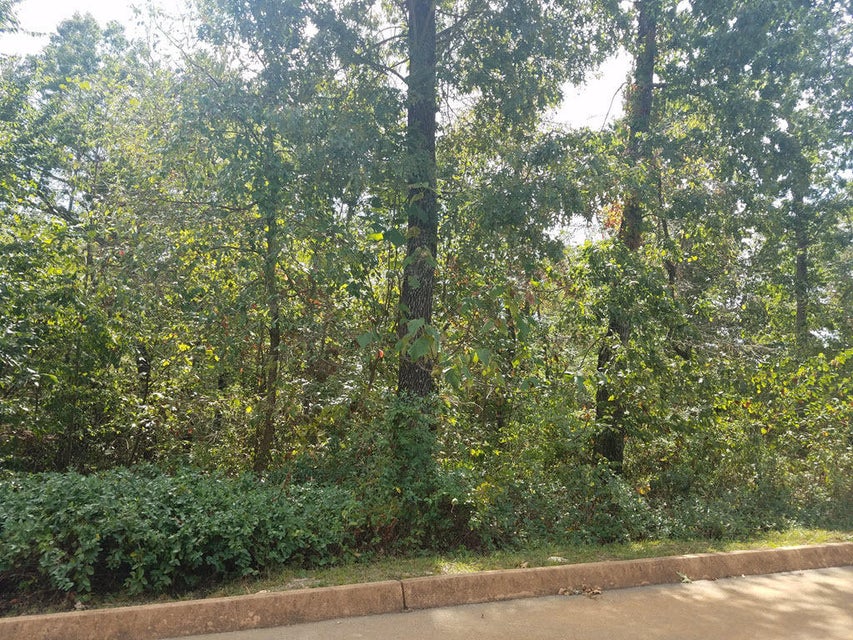 Photo #7: Lot 25 Aidans Trail