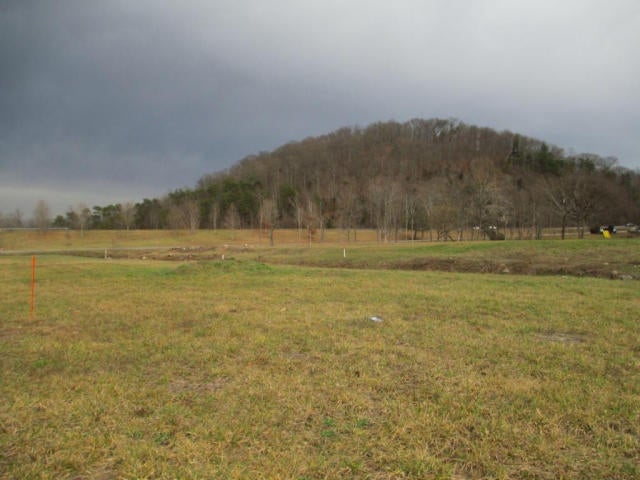Photo #4: Tbd Rock Springs Road