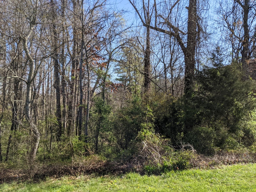 Photo #2: Tbd Old Jonesborough Road