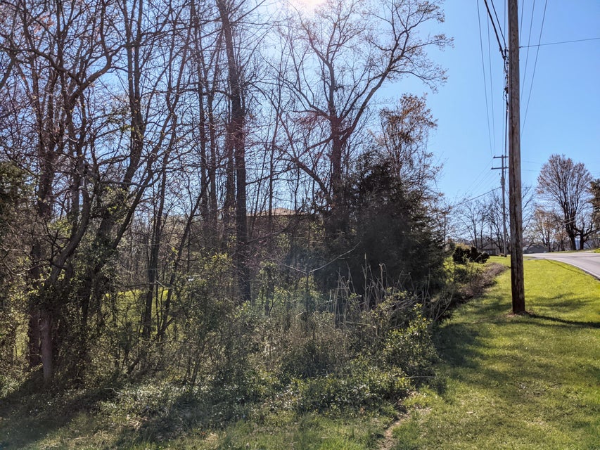 Photo #4: Tbd Old Jonesborough Road