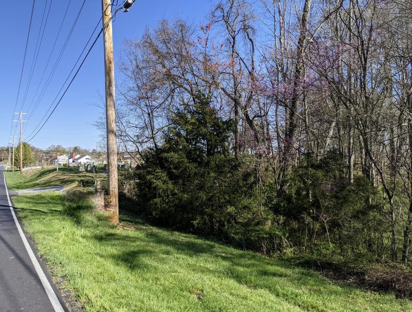 Photo #5: Tbd Old Jonesborough Road