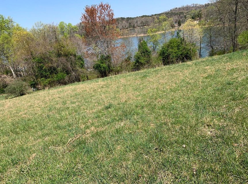 Photo #5: 1756 Wilderness Drive