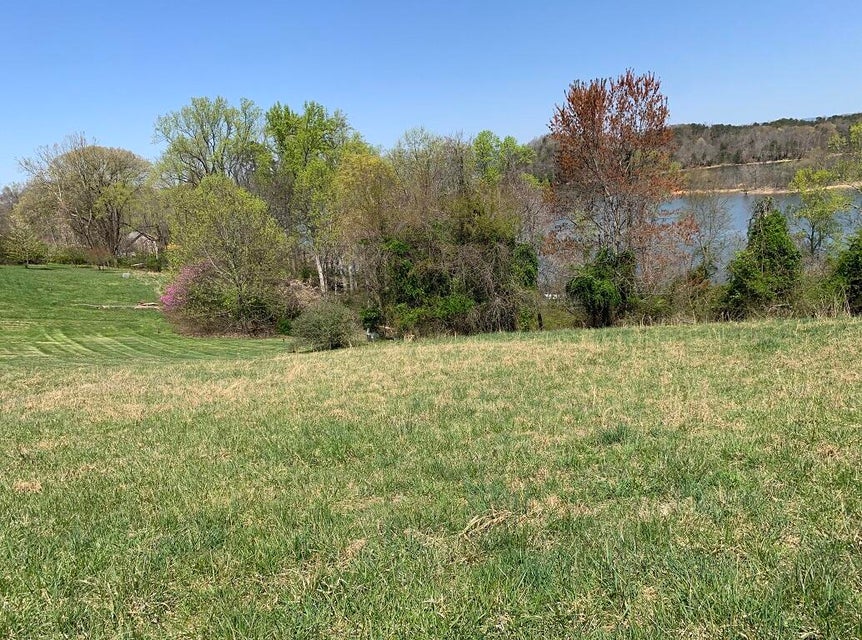 Photo #6: 1756 Wilderness Drive