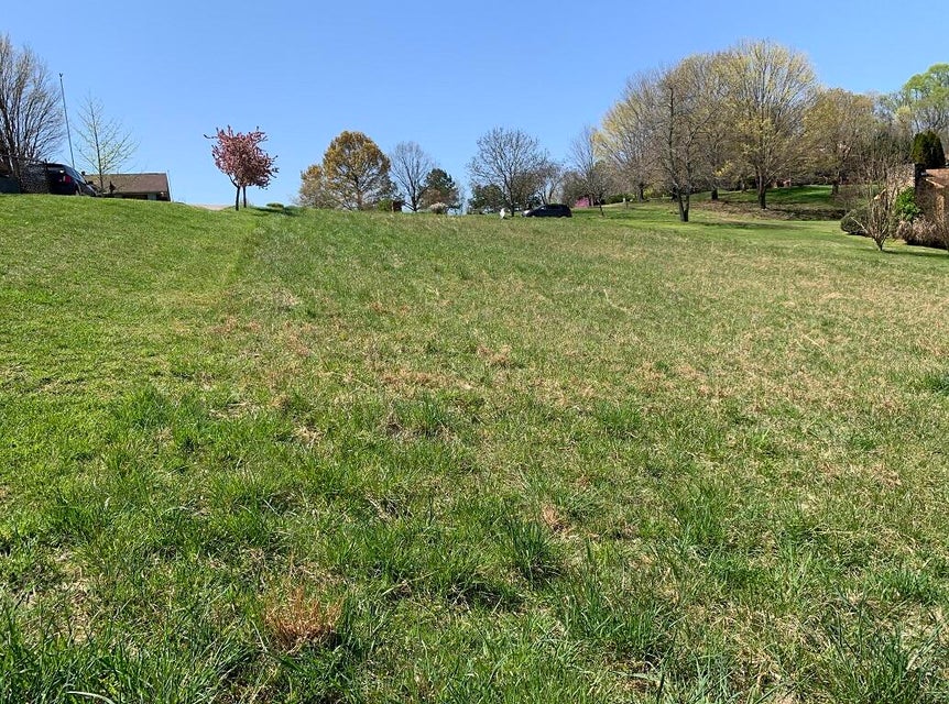Photo #7: 1756 Wilderness Drive