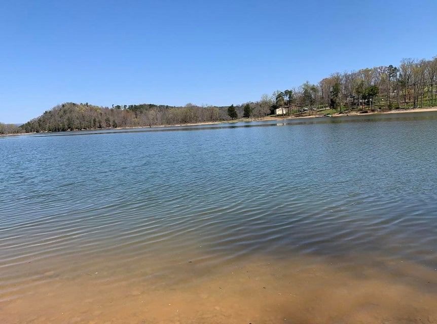 Photo #13: 1756 Wilderness Drive