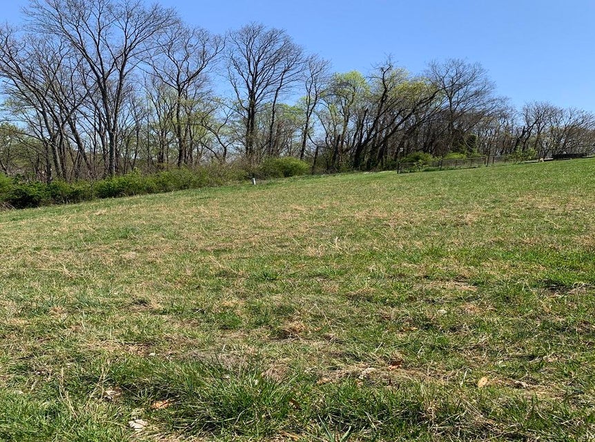 Photo #26: 1756 Wilderness Drive