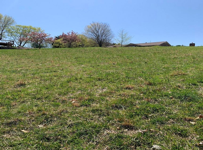 Photo #27: 1756 Wilderness Drive
