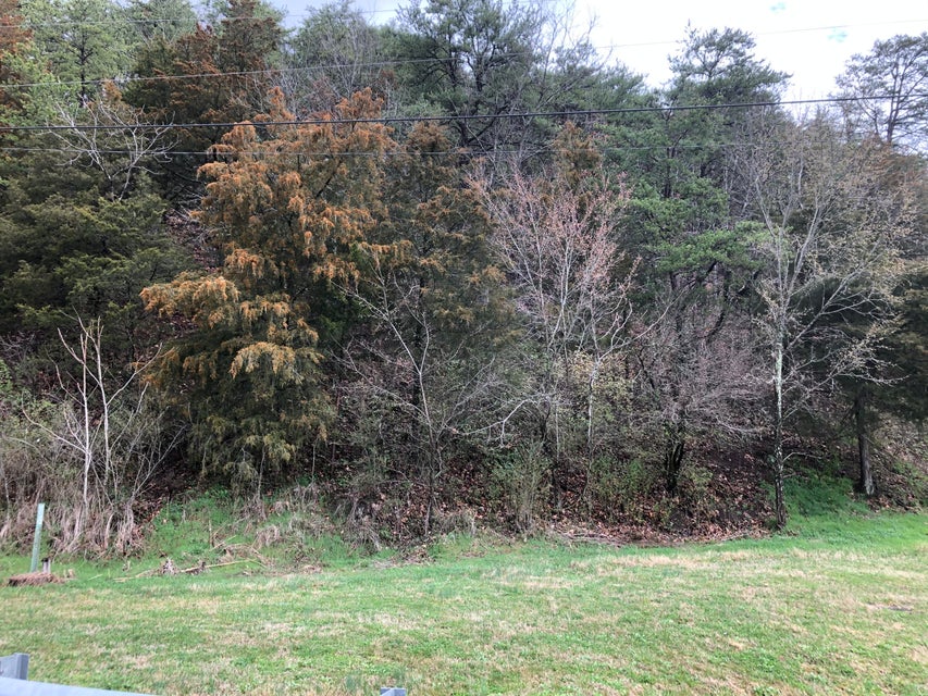 Photo #6: Tbd Creekmore Dr