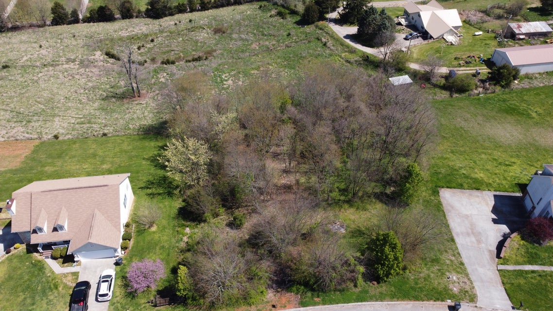 Photo #3: 5784 Kay Drive