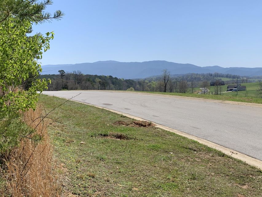Photo #1: 00 River Pointe Drive