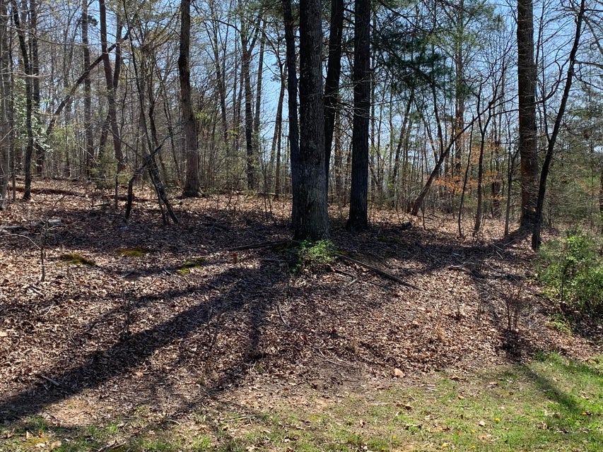 Photo #3: 00 River Pointe Drive