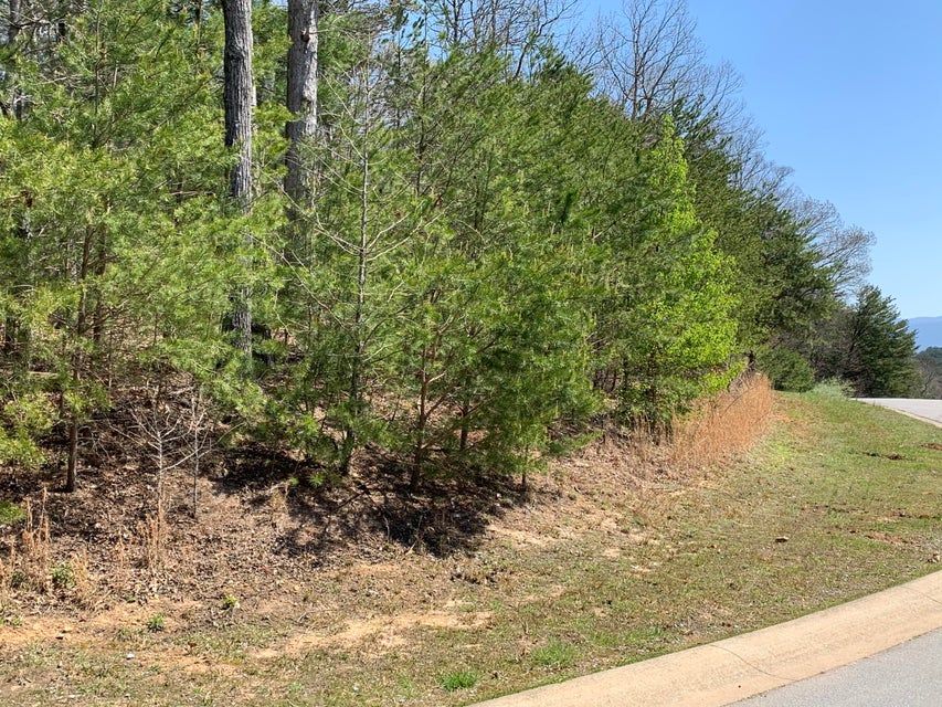Photo #6: 00 River Pointe Drive