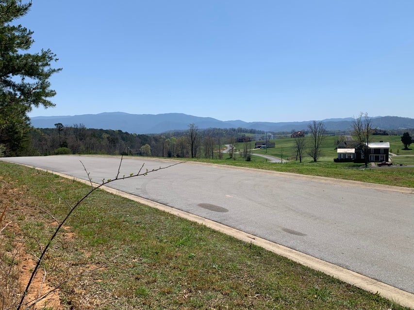 Photo #7: 00 River Pointe Drive
