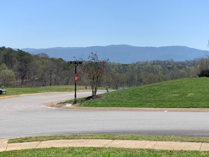 Photo #1: 00 River View Drive