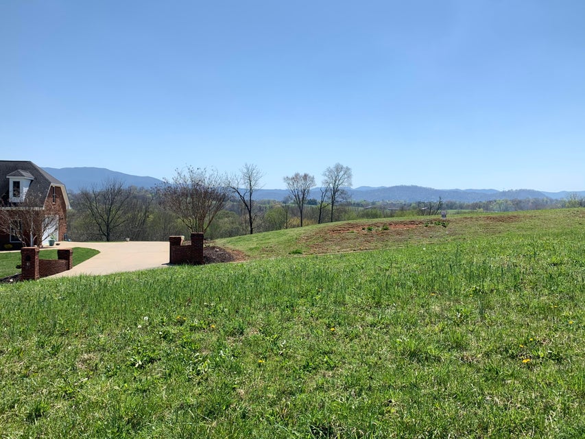 Photo #3: 00 River View Drive
