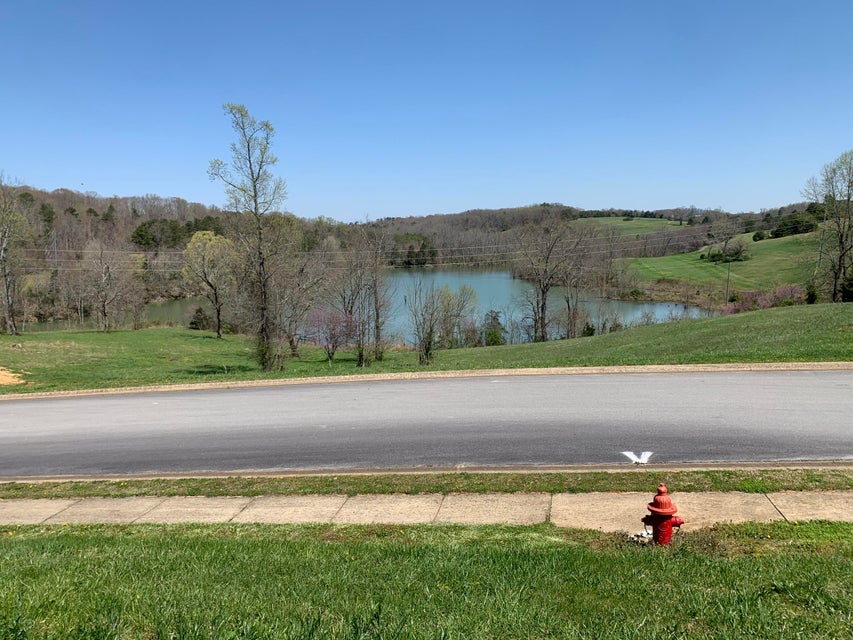 Photo #5: 00 River View Drive