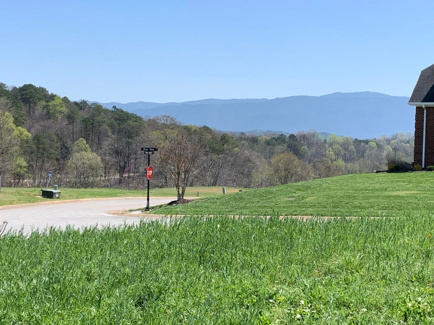 Photo #6: 00 River View Drive