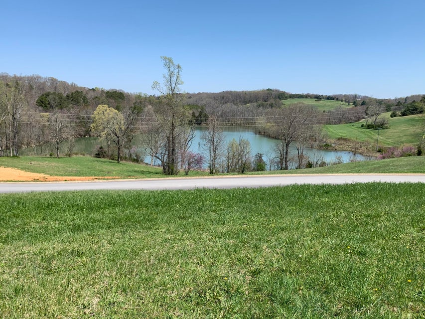 Photo #9: 00 River View Drive