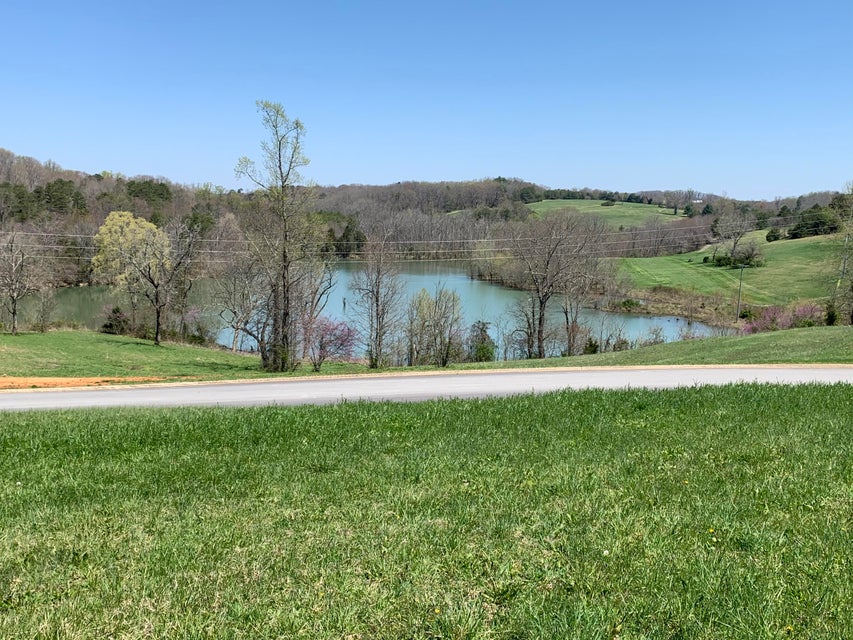 Photo #2: 00 River View Drive