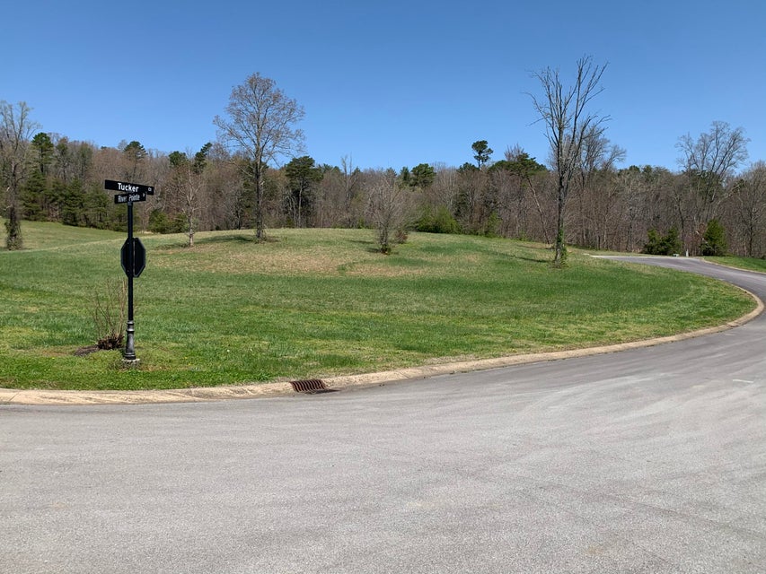 Photo #5: 00 Tucker Court
